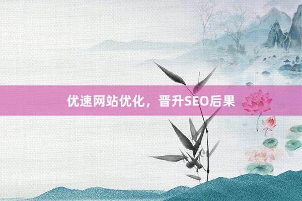 优速网站优化，晋升SEO后果